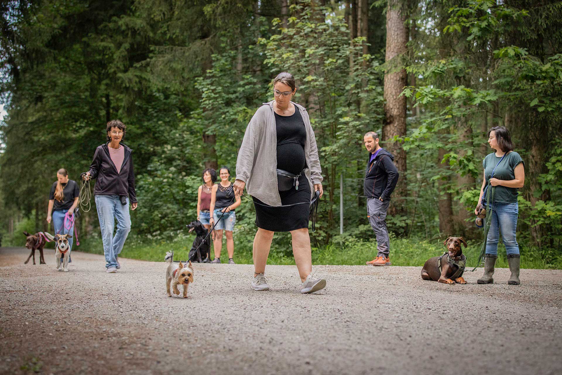 Alltag & Hundekontakt