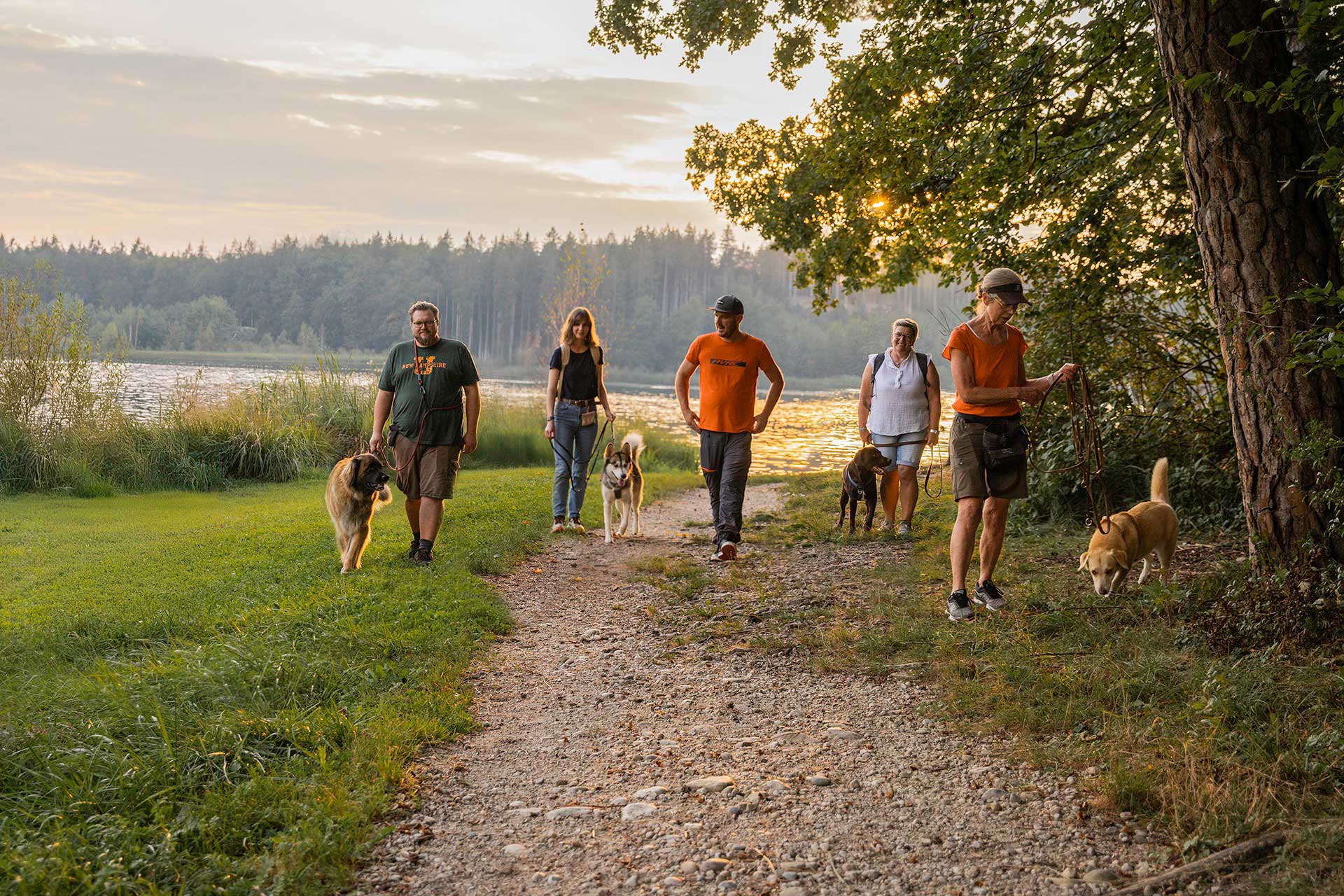 Hundeschule im Chiemgau