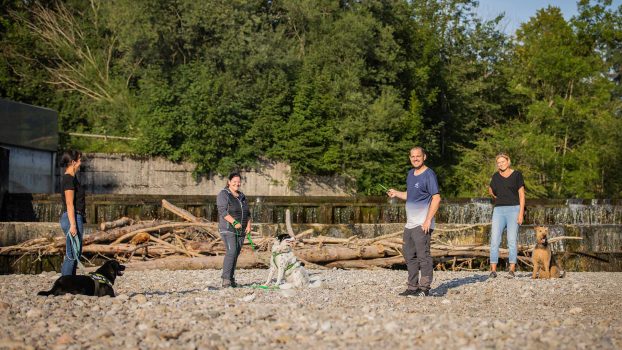 Alltagstraining mit Hund im Chiemgau bei Josef Reithmeier