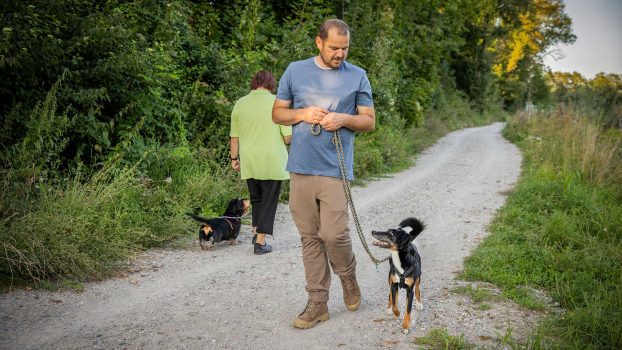 Alltag-und-Hundekontakt-Übersicht-Begegnungswoche