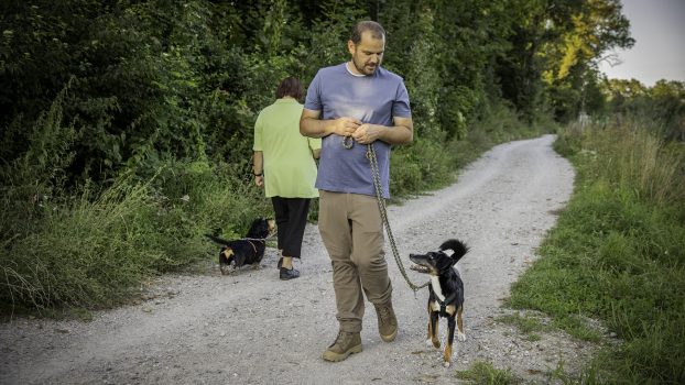 Alltag-und-Hundekontakt-Übersicht-Begegnungswoche