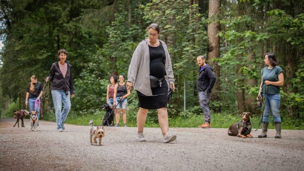 Alltag & Hundekontakt