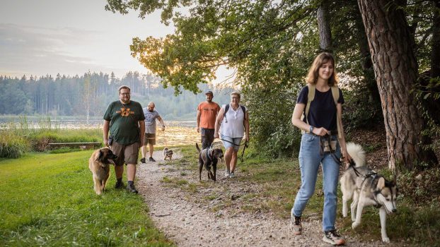 Erlebnis-und-Beschäftigung-Übersicht-Hundewanderung