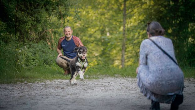 Welpen & Junghunde