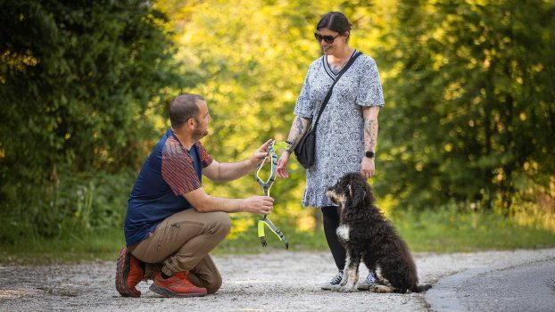 Welpen-und-Junghunde-Startseite