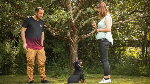 WelpenundJunghunde_web