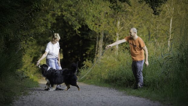 Individuelles Hundetraining im Chiemgau bei dir zu Hause oder auf euren gewohnten Wegen.