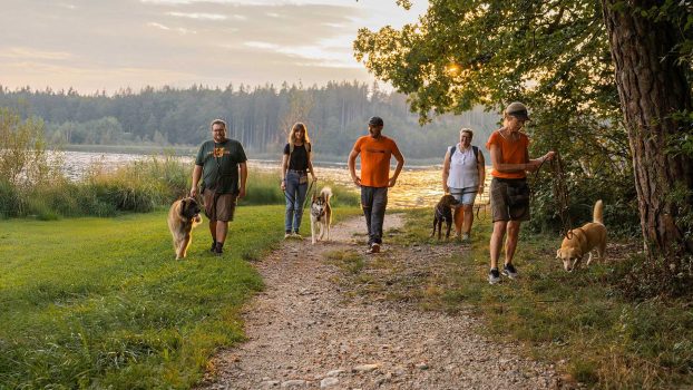 josef-reithmeier-mitten-im-leben