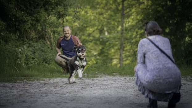 Junghundetraining im Chiemgau für junge Hunde, Orientierung, Rückruf und einen guten Weg durch die Pubertät.